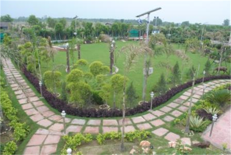 Farm House For Sale In Green Beauty Farm House Sector-135 Noida - 1008 ...