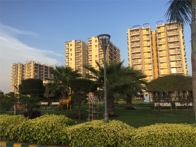 Bhk Multistorey Apartment Flat For Sale In Maxxon Trishla City