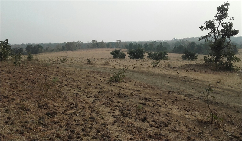 Agricultural Land Farm Land For Sale In Katol Road Nagpur Maharashtra