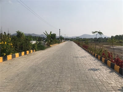 Residential Plot Land For Sale In Sevoor Vellore Sq Ft