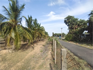 Farm House For Sale In Farm Land For Sale In Elavur Gumpdi Poondi